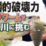 【バス釣り】圧倒的破壊力ビックワームで五三川に挑む！