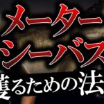 メーターシーバスは狙って獲れる！その法則とは！？　村岡昌憲【切り抜き】