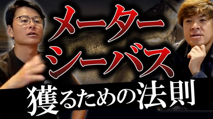 メーターシーバスは狙って獲れる！その法則とは！？　村岡昌憲【切り抜き】