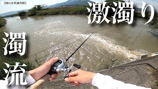 激濁りの流れ込みの中で釣りをしていると… 【バス釣り】ベイトタックル