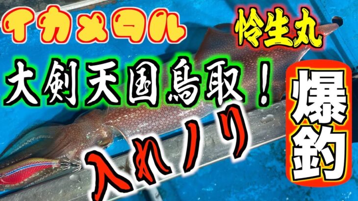 【白イカ爆釣】オモリグ鳥取遠征２日目 入れノリ過ぎて腕がパンパン