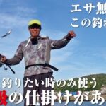 衝撃の釣れっぷりにお隣さんがザワつく。我々がこよなく愛する秘伝のサビキ仕掛けを紹介しよう。