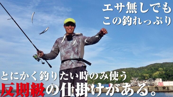 衝撃の釣れっぷりにお隣さんがザワつく。我々がこよなく愛する秘伝のサビキ仕掛けを紹介しよう。