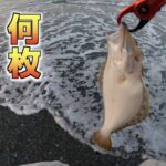 【ヒラメ釣り】にサーフへ行くと一投目から生命感が凄い！