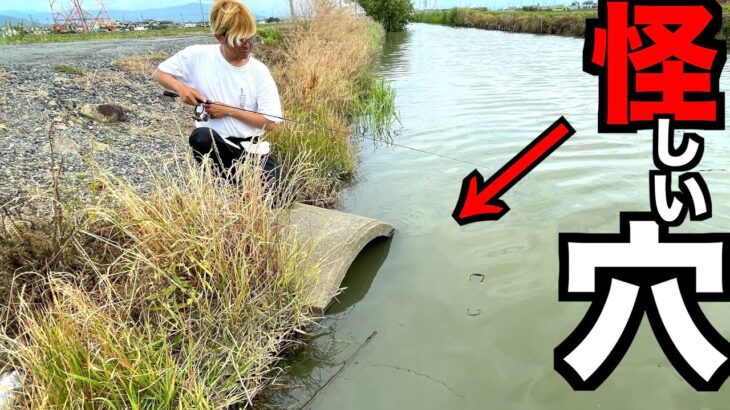 【バス釣り】道路横の怪しい穴にルアーを垂らし続けたらやばかった！