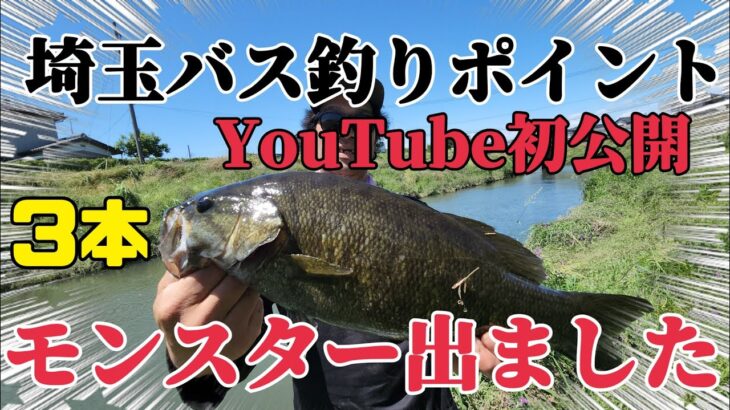 【関東バス釣り】埼玉の超激熱ポイント教えちゃいます！初心者でもモンスターバス釣れました！初公開です