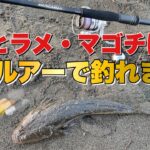 ヒラメ・マゴチが釣れる最強ルアー！手前〇〇メートルに魚はいる！