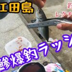 〚江田島〛サビキ釣りでアジ狙ってみたら爆釣ラッシュだった😁