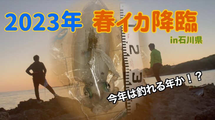 【春イカエギング】２０２３年はもしかして釣れる年！？【石川県】