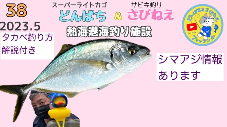 【遠投カゴ釣りでシマアジ、サビキ釣りでタカベ爆釣】