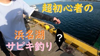 【浜名湖釣り】初心者釣りガールの浜名湖サビキ釣り【海釣り公園・砂揚場】