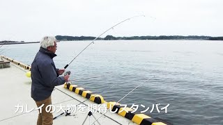 七ヶ浜周辺漁港～塩釜港の堤防釣り取材　菖蒲田漁港・湊浜の投げ釣りサビキ釣り