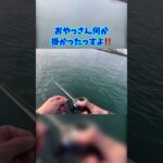 シーバス釣りでキター‼️【海釣り初心者】