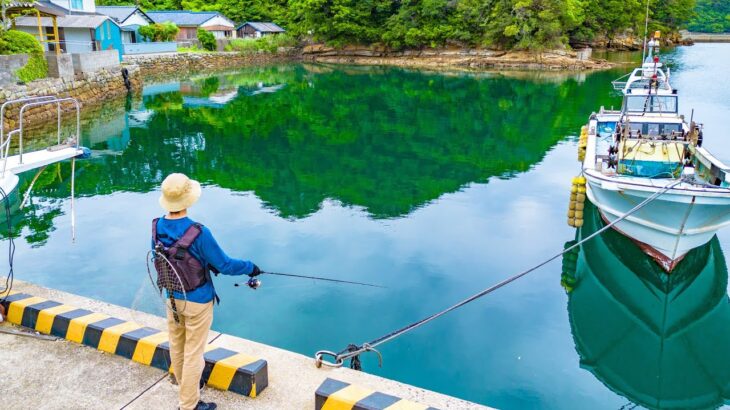 堤防で高級食材が簡単に釣れる、この釣りがやめられない