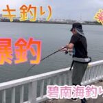 【碧南海釣り公園】サビキ釣り爆釣😆楽しい😊