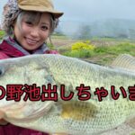 野池巡りをしたらバスの宝庫を見つけた！【神回】