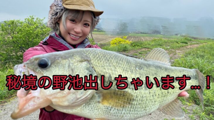 野池巡りをしたらバスの宝庫を見つけた！【神回】