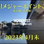 【釣り】多摩川のメジャースポットご紹介（シーバス、スモール）【丸子橋・五本松】