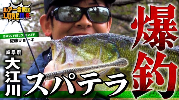 【バス釣り】釣れ過ぎ‼スパテラ×ネコリグで大江川爆釣‼【ルアー合衆国】