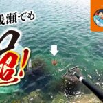 春エギング！福岡糸島のシャローで執念のキロアップを釣る！