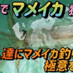 留萌港でマメイカ釣り！達人たちは皆親切！