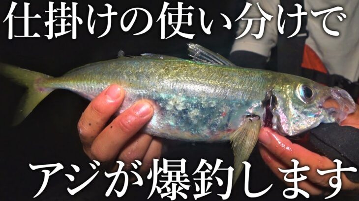 【驚くほどアジが釣れる！】アジ釣りに重要な仕掛けの種類とサビキやカゴの選択方法を解説します