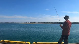 久しぶりに浜名湖でサビキ釣りしたら…