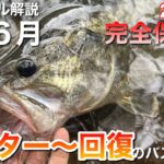 【バス釣り徹底解説】これに気を配ると、これからの季節のバスが釣りやすくなります!! 【水の旅＃ ２０６】