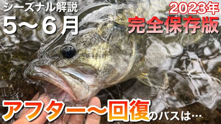 【バス釣り徹底解説】これに気を配ると、これからの季節のバスが釣りやすくなります!! 【水の旅＃ ２０６】