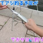 サビキでアジ釣る予定がでかサヨリ釣りに変更