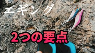 【エギング】釣りの神みたいなオジィが伝えてくれた、たった２つの要点