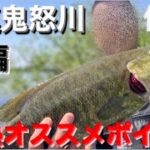 【茨城バス釣りポイント】鬼怒川超オススメポイント！下妻大形橋【鬼怒川バス釣り】