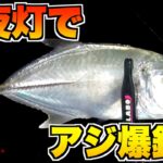 【アジング】夜の常夜灯に集まる魚を釣る！