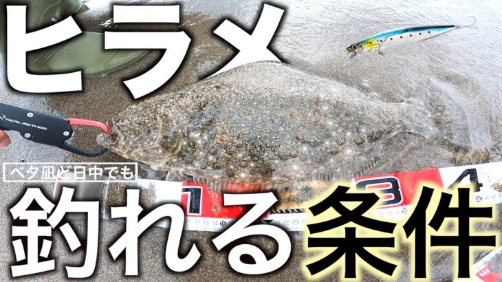 【サーフ】ベタ凪ベイト無しの日中サーフでもヒラメは釣れる！