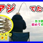 尺アジと青物を狩る!! ★青物ハンターへの道★vol.2 カゴ釣り&投げサビキで尺アジとアジ&イワシののませ泳がせ釣りで青物 in 和歌山 釣り fishing 堤防 防波堤 クエスト成功