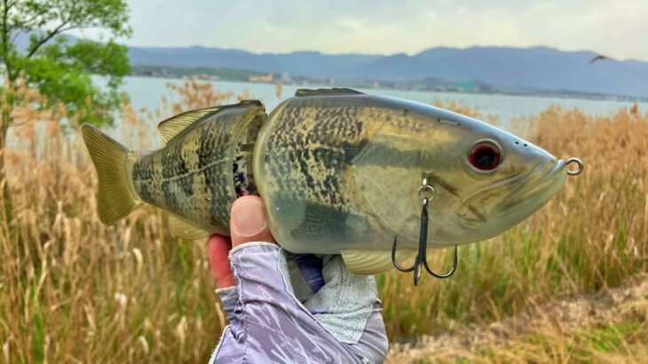 【バス釣り】デプスのコードネームバスで釣れたw　ロクマルが小バスを食べていたので再現してみた