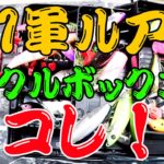 超1軍ルアー達が集結したタックルボックスを作っちゃった！！！【タックルボックス公開】【シャーベットヘアーチャンネル】【バス釣り】【釣り部屋】