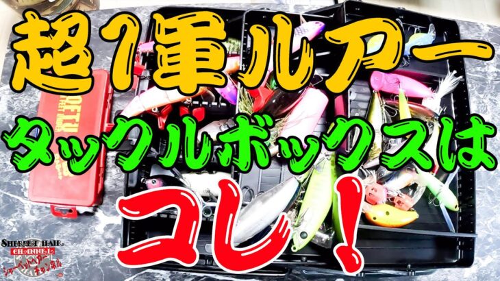 超1軍ルアー達が集結したタックルボックスを作っちゃった！！！【タックルボックス公開】【シャーベットヘアーチャンネル】【バス釣り】【釣り部屋】