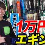 【初心者入門】予算1万円でエギングは出来るのか？！低価格タックルガチ検証《購入編》