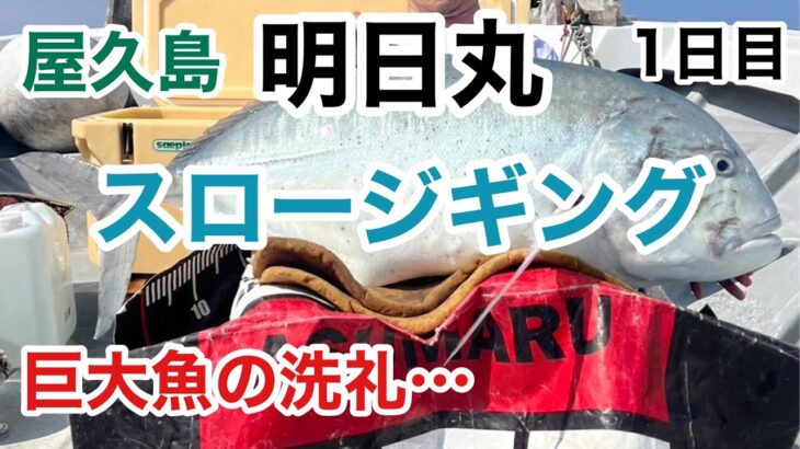 【屋久島】明日丸でスロージギング1日目　巨大魚の洗礼