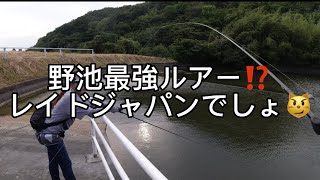 野池で1番釣れるルアーって何か⁉️