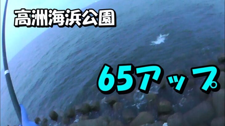 10分で２ヒット　シーバス釣り　高洲海浜公園　釣れるルアー