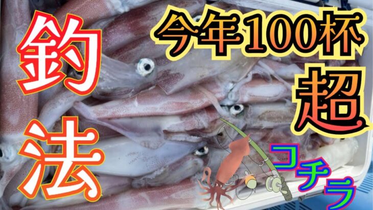 この釣り方が今年100杯釣る方法‼️ケンサキイカで大活躍の釣法はコチラ‼️