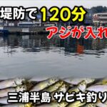 【サビキ釣り】初心者にもアジのチャンス‼昼間の堤防で入れ食いの120分‼アジ爆釣!?