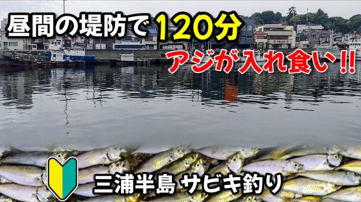 【サビキ釣り】初心者にもアジのチャンス‼昼間の堤防で入れ食いの120分‼アジ爆釣!?