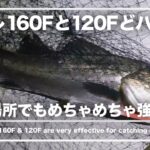 小場所でノガレ120F、160Fがドハマり！　東京湾奥シーバス釣り