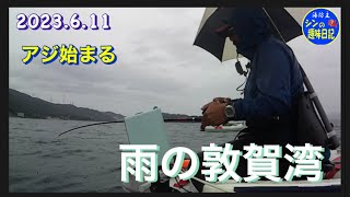 【2馬力ゴムボート】８寸アジ ボコボコ！雨中のアジ釣り