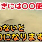 バス釣り2年生トニさんの代掻きにはこれ使え！使えばおのずと答えは出る！だが使わないと〇〇になります。答えは皆の中にある！福岡バス釣り 城島クリーク