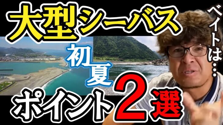 【初夏】ランカーシーバスを獲りにいくポイント2選！　村岡昌憲【切り抜き】