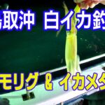 【オモリグ・イカメタル】鳥取港沖の白イカ釣り　2023初釣行は激渋